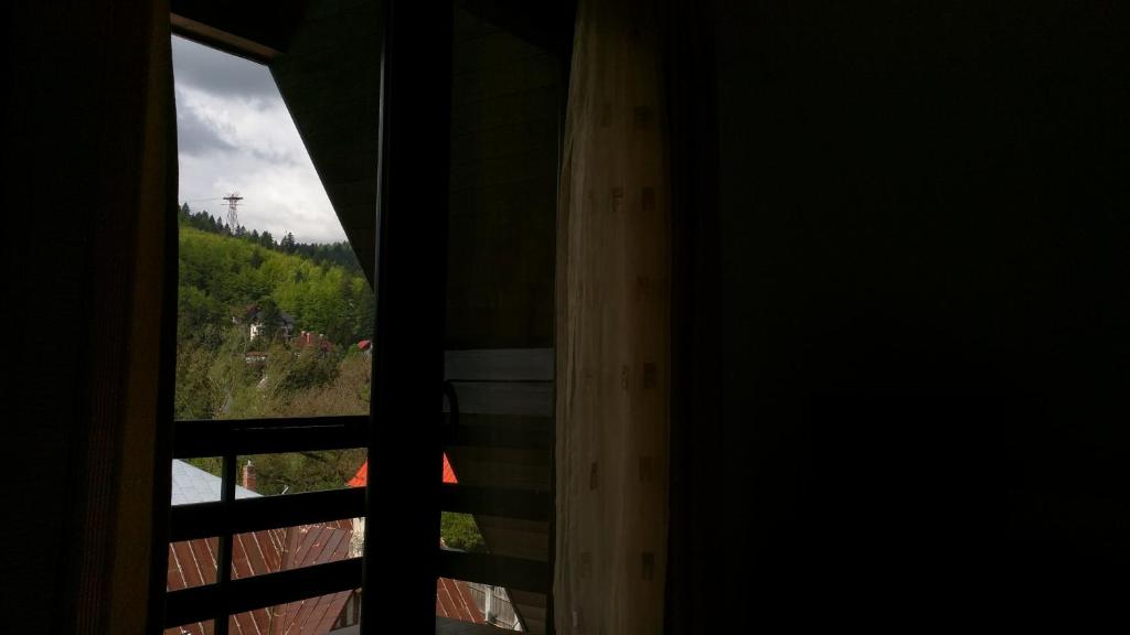 Апартаменты (Апартаменты с 1 спальней - Мансарда), Hotel Silvia Apart Sinaia