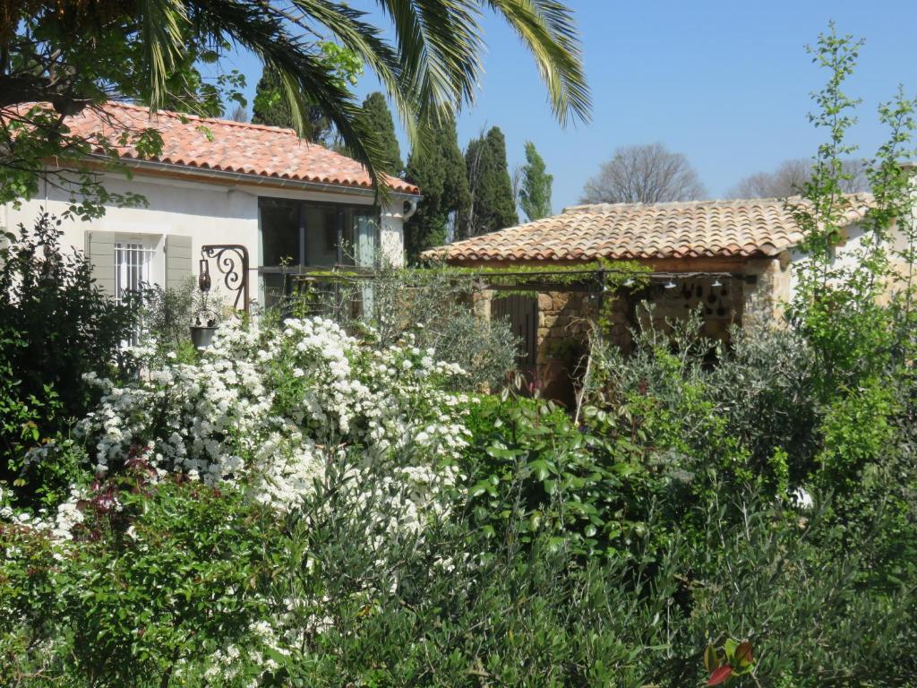 Appartement dans Mas Provencal photo 3