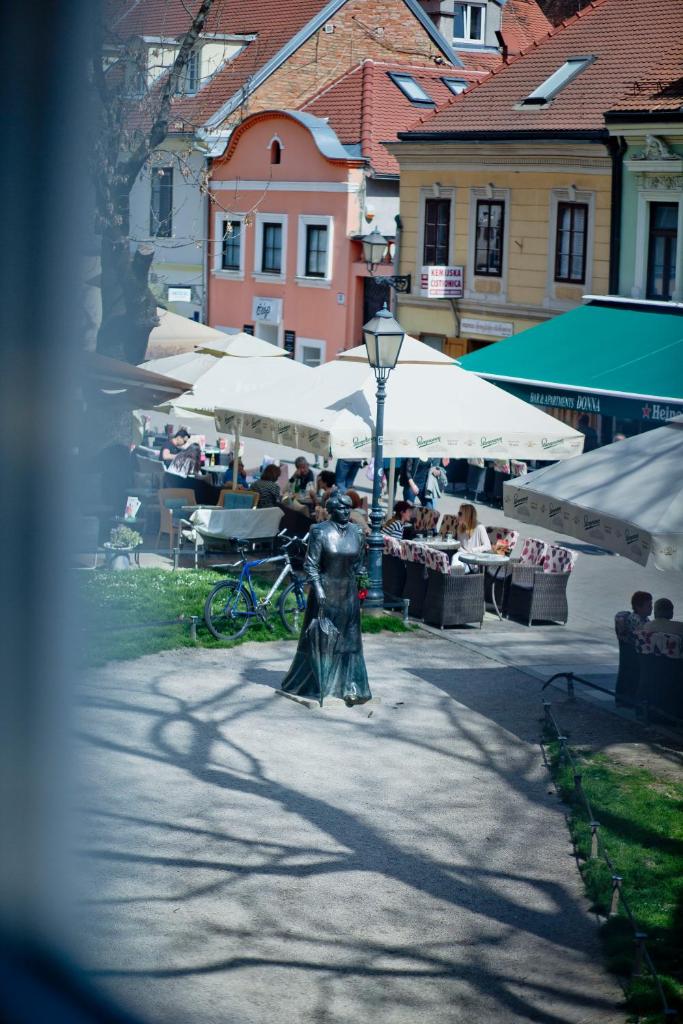 Двухместный (Двухместный номер Делюкс с 1 кроватью), Rooms Zagreb 17