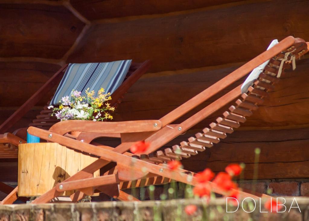 Country House Doliba photo 1