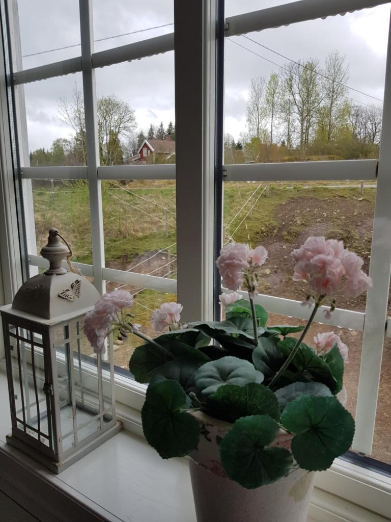 Bashults Gård photo 4