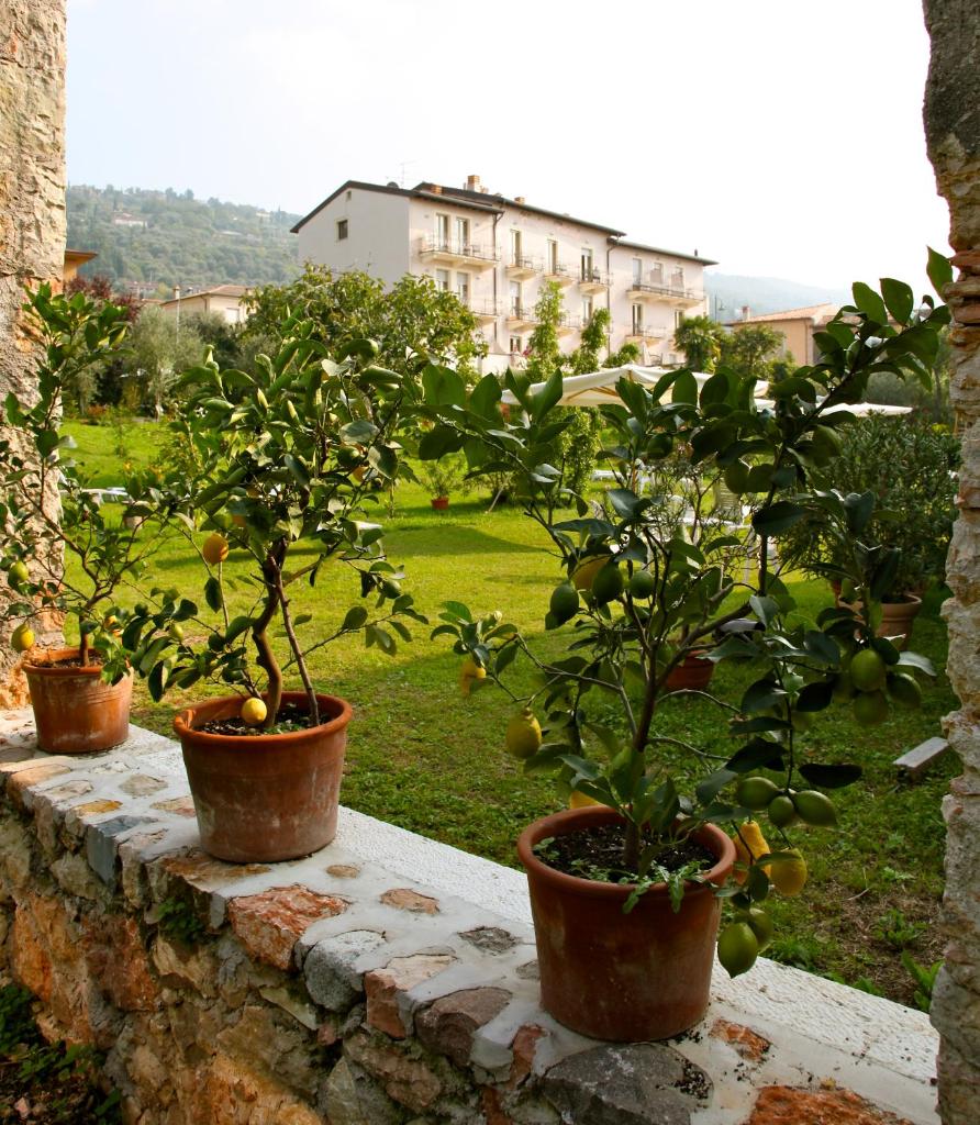 Hotel Belvedere photo 1