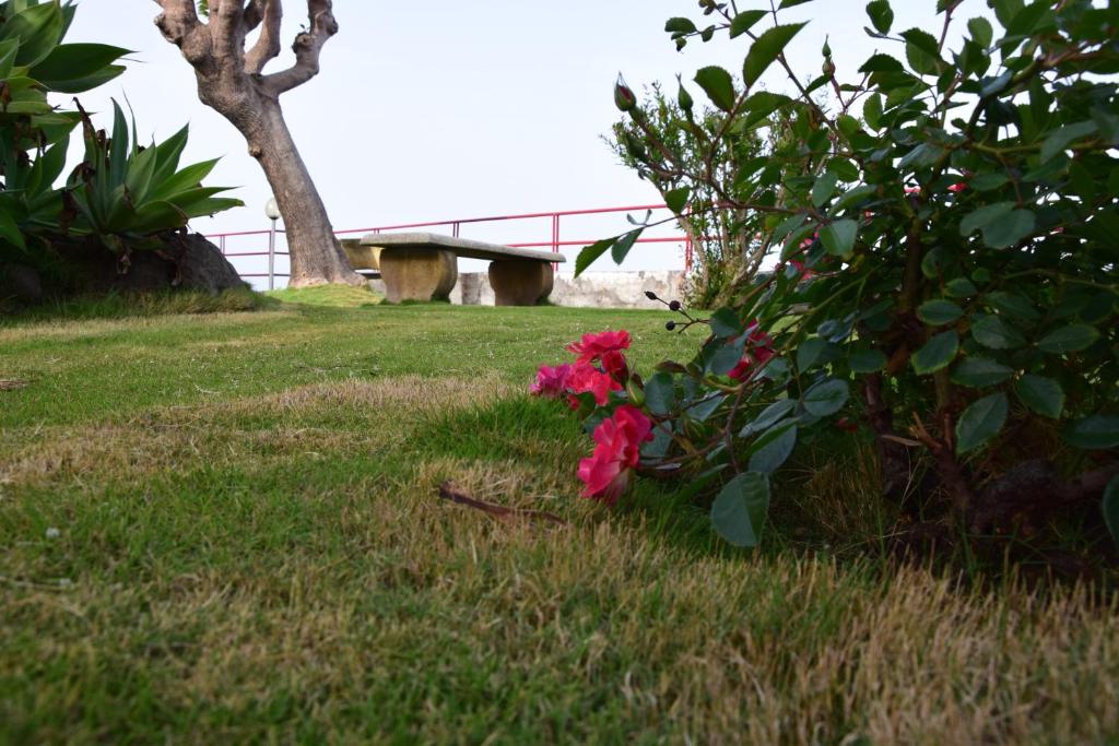 SeaHome photo 4