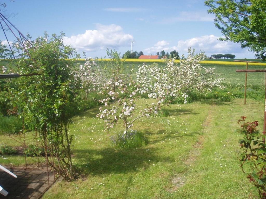 Country house photo 3
