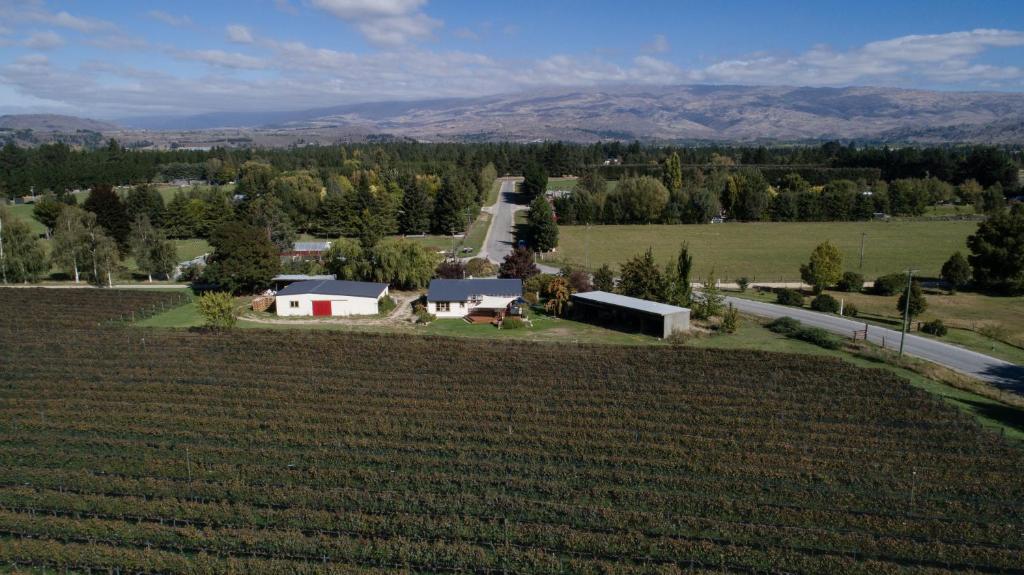 Judge Rock Exclusive Vineyard Cottage Accommodation photo 1