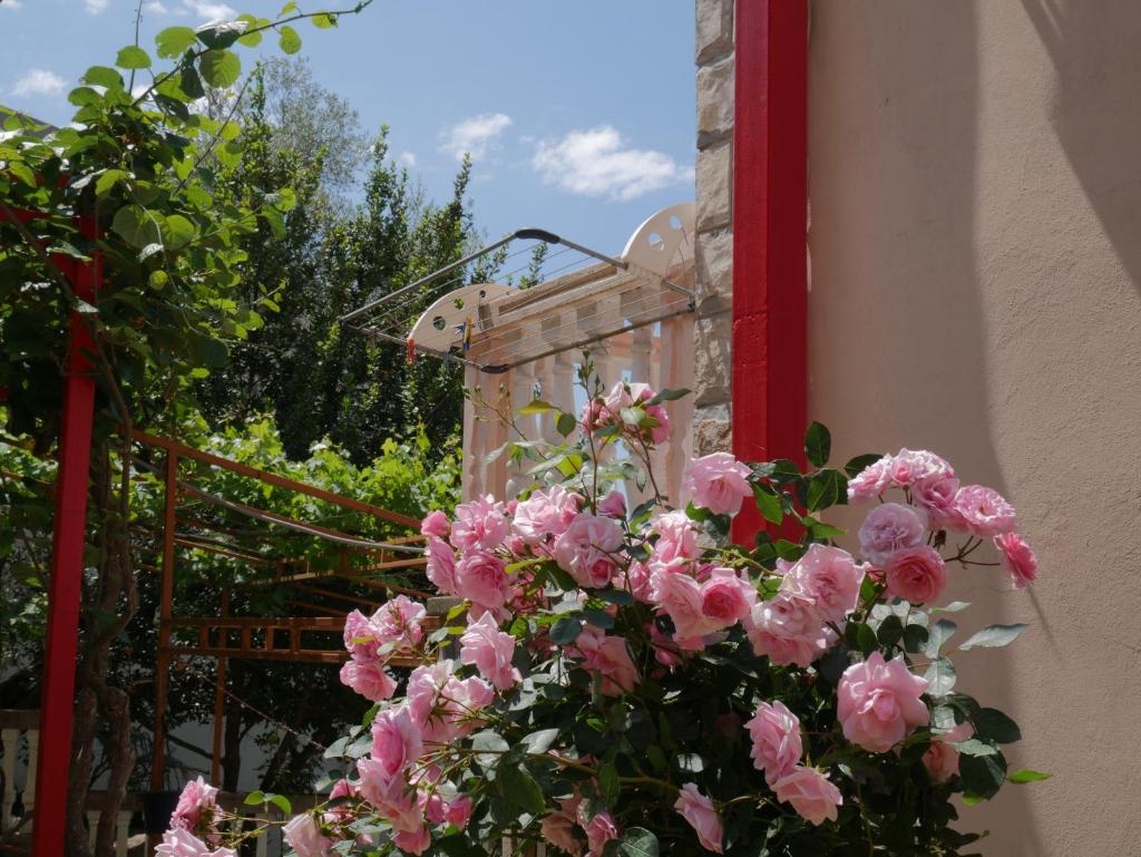 Guest House Almond photo 1