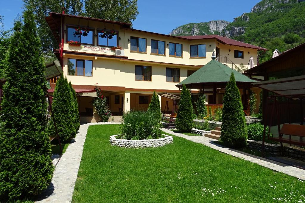 Pension Cuibul Viselor photo 3