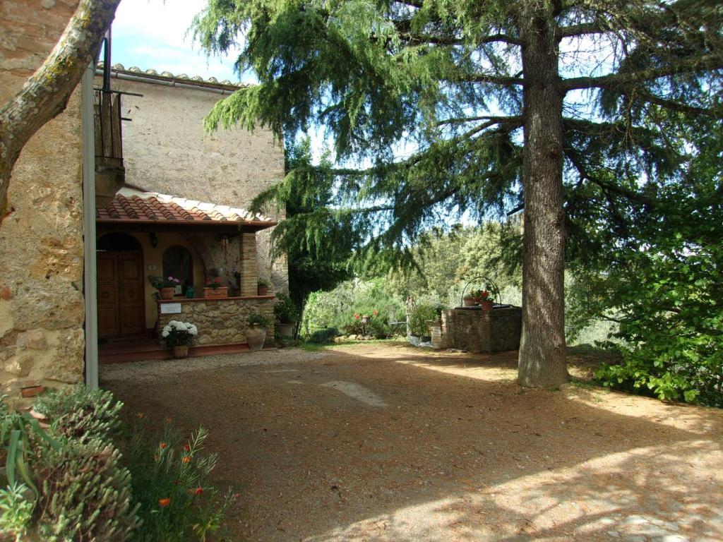 Podere Sammonti photo 4