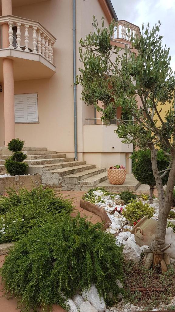 Apartments Suzana photo 4