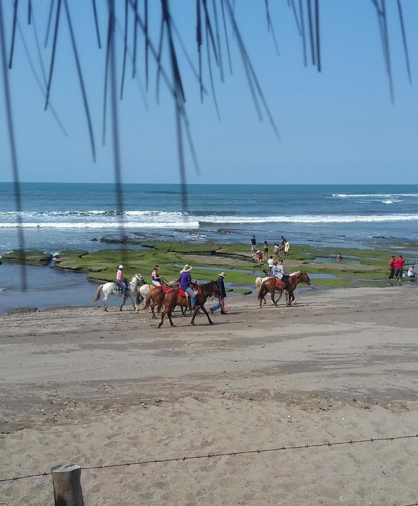 La Casita Nica photo 2
