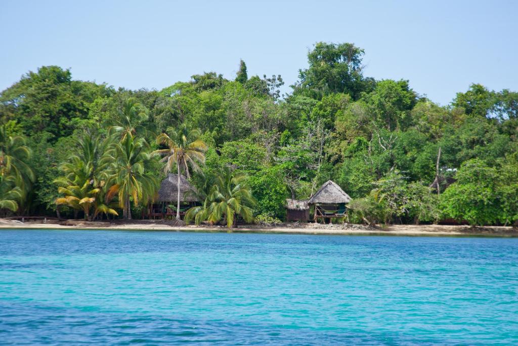 Al Natural Resort photo 2