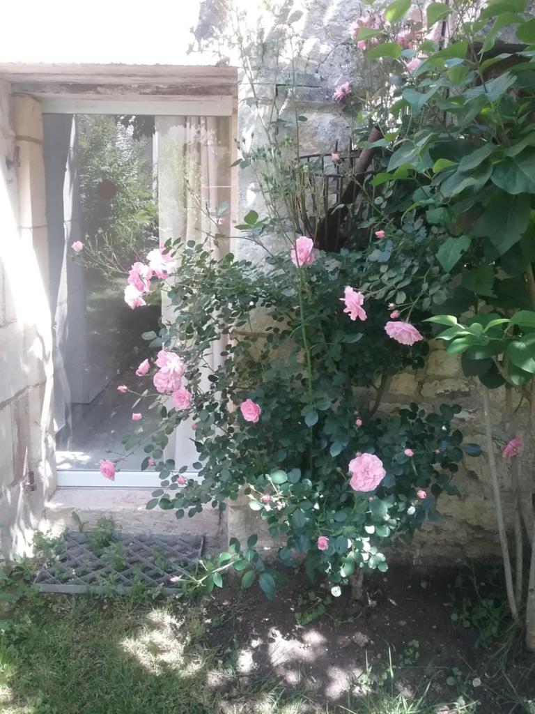 B&B Le verger photo 1