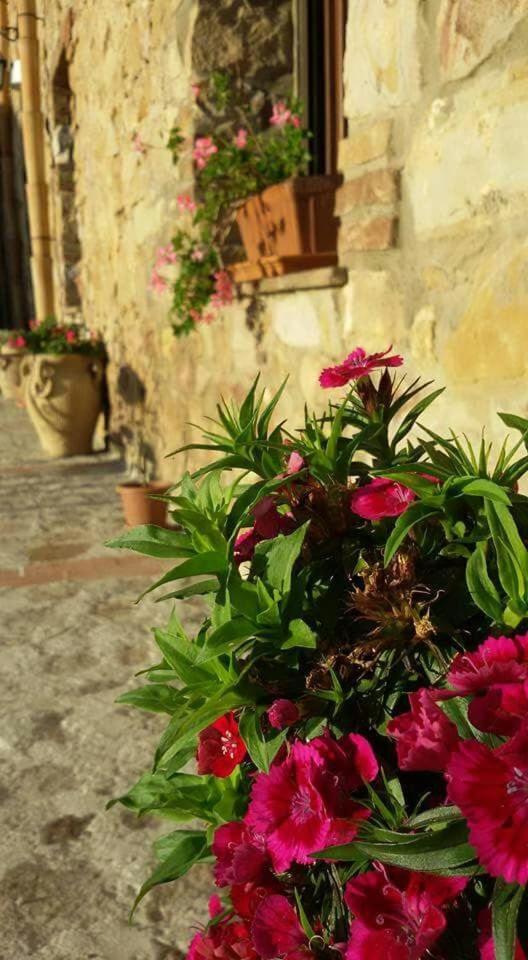 Masseria Rocca di Gonato photo 3