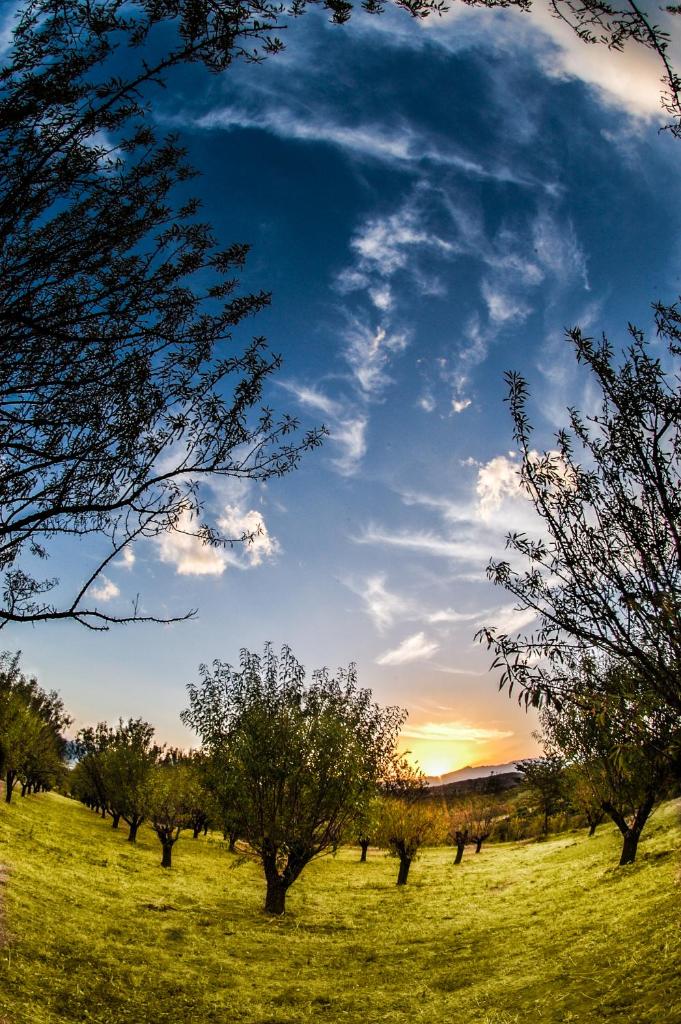 Villa Rustica photo 4
