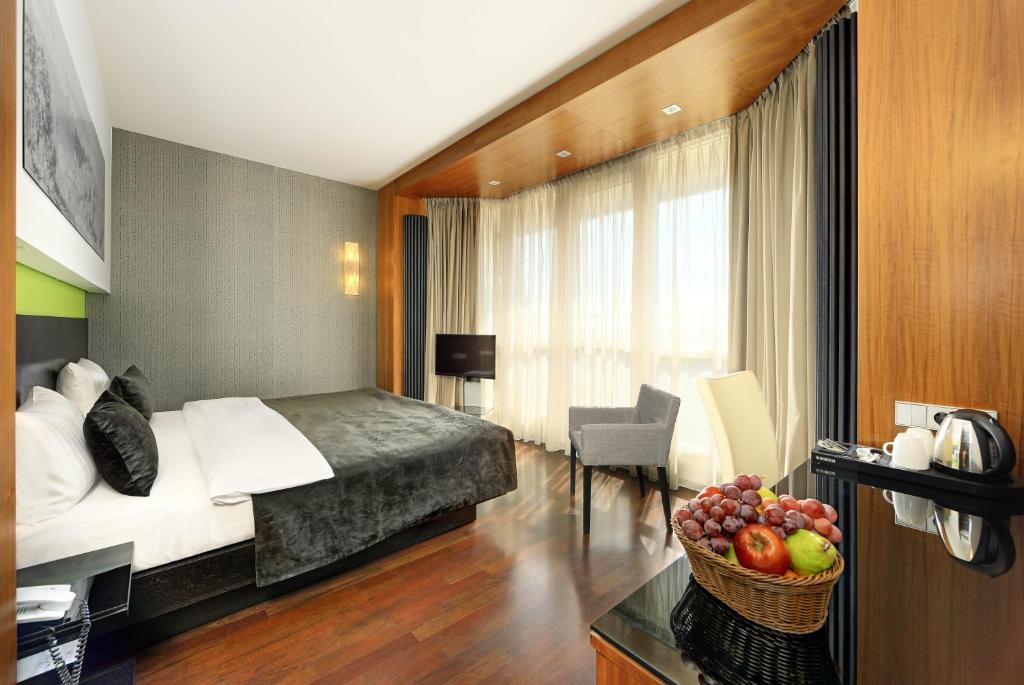 Двухместный (Представительский двухместный номер с 1 кроватью), Ametyst Hotel Praha