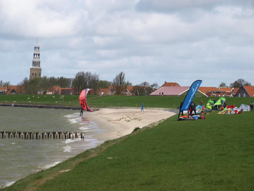 De iisfugel photo 3