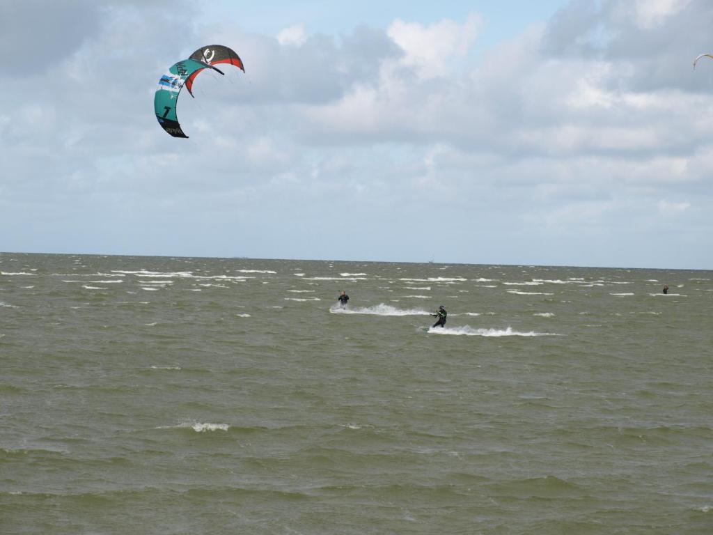 De iisfugel photo 2