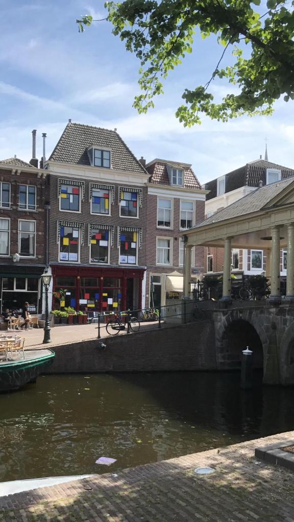 NR22 Leiden photo 1