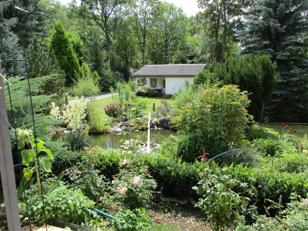 Waldblick photo 4