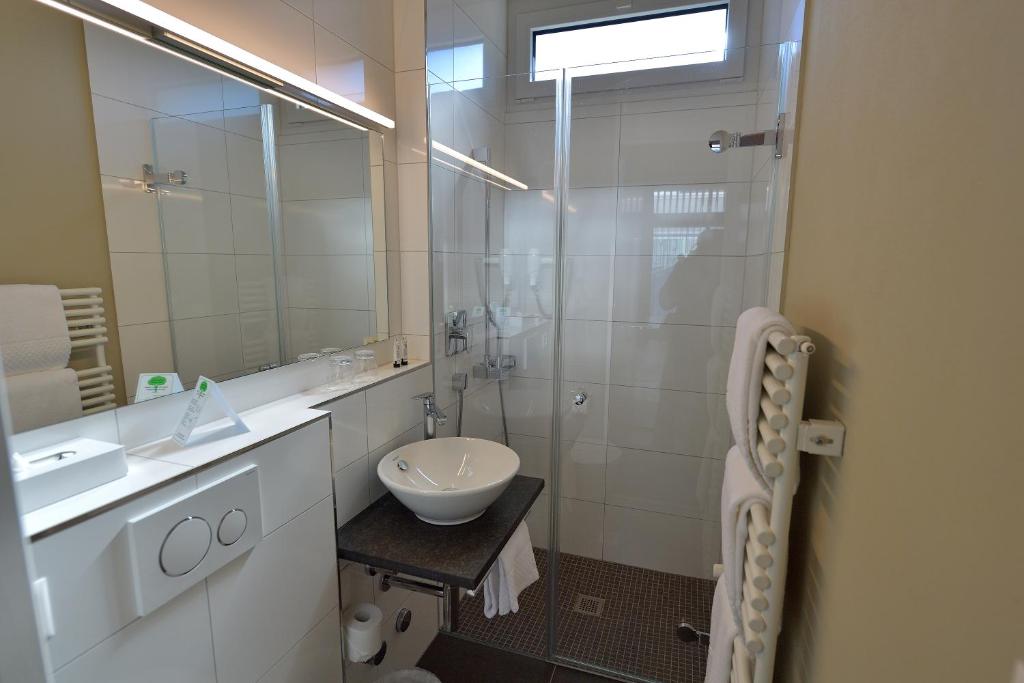 Одноместный (Одноместный номер «Комфорт» с собственной парковкой), Hotel Sommerau