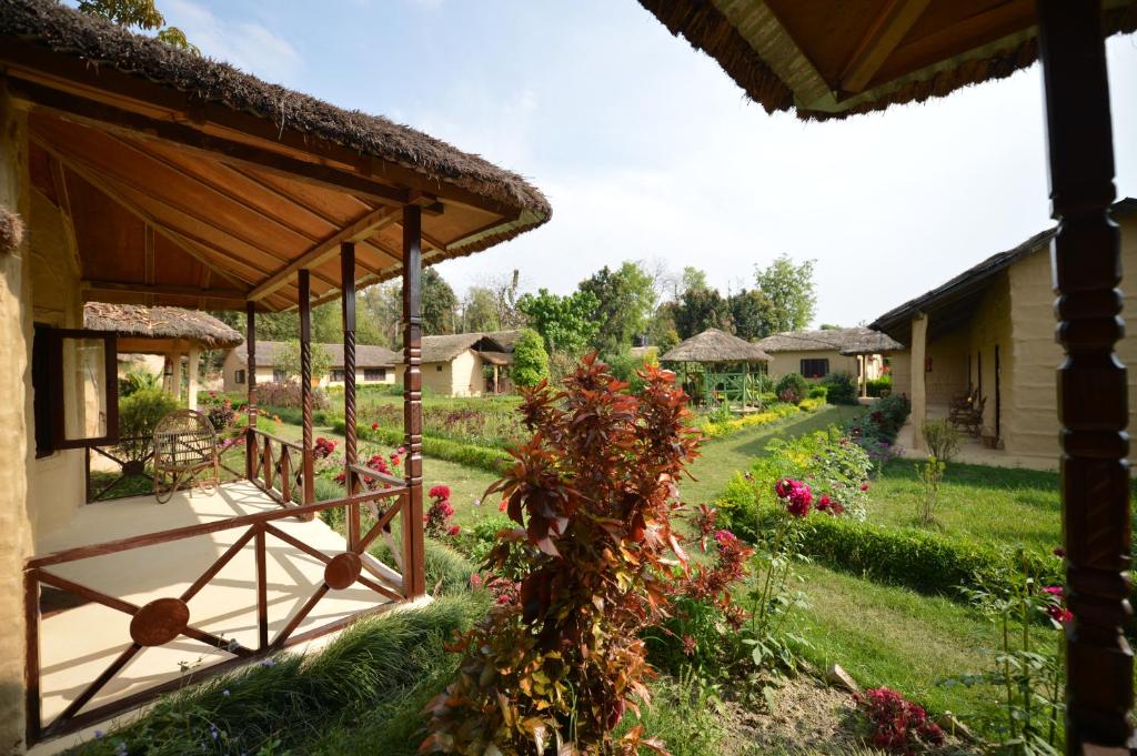 Racy Shade Resort Pvt.Ltd. photo 1