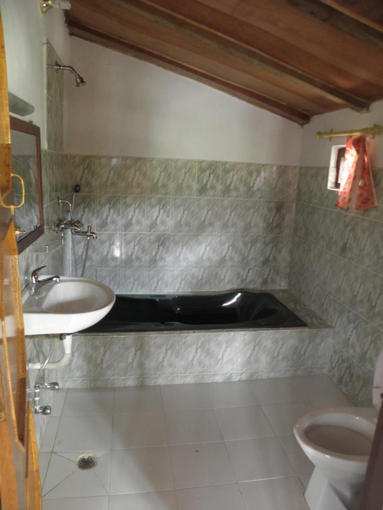 Racy Shade Resort Pvt.Ltd. photo 4