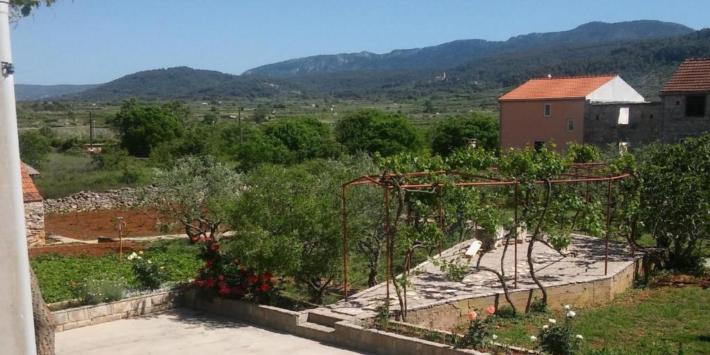 Apartment Dulcis photo 3