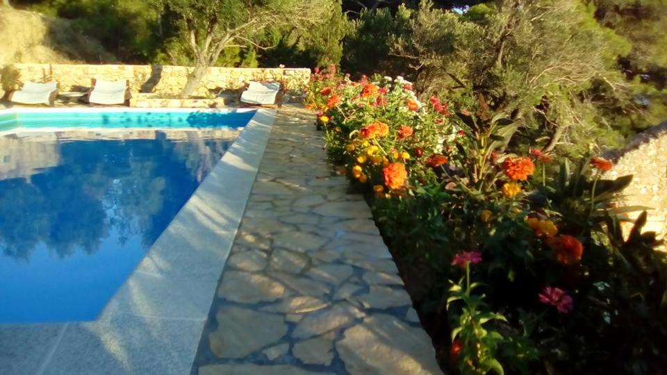 Villa Mora photo 4