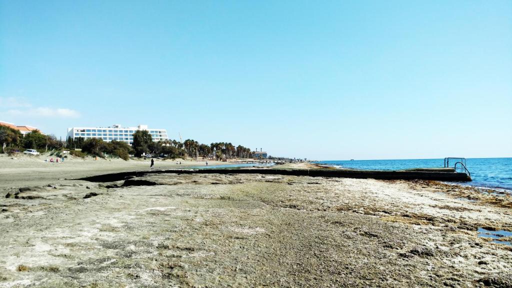 Olosuites photo 1