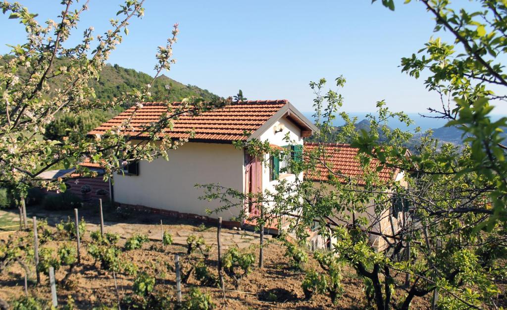 L'Oasi del Rossese photo 2