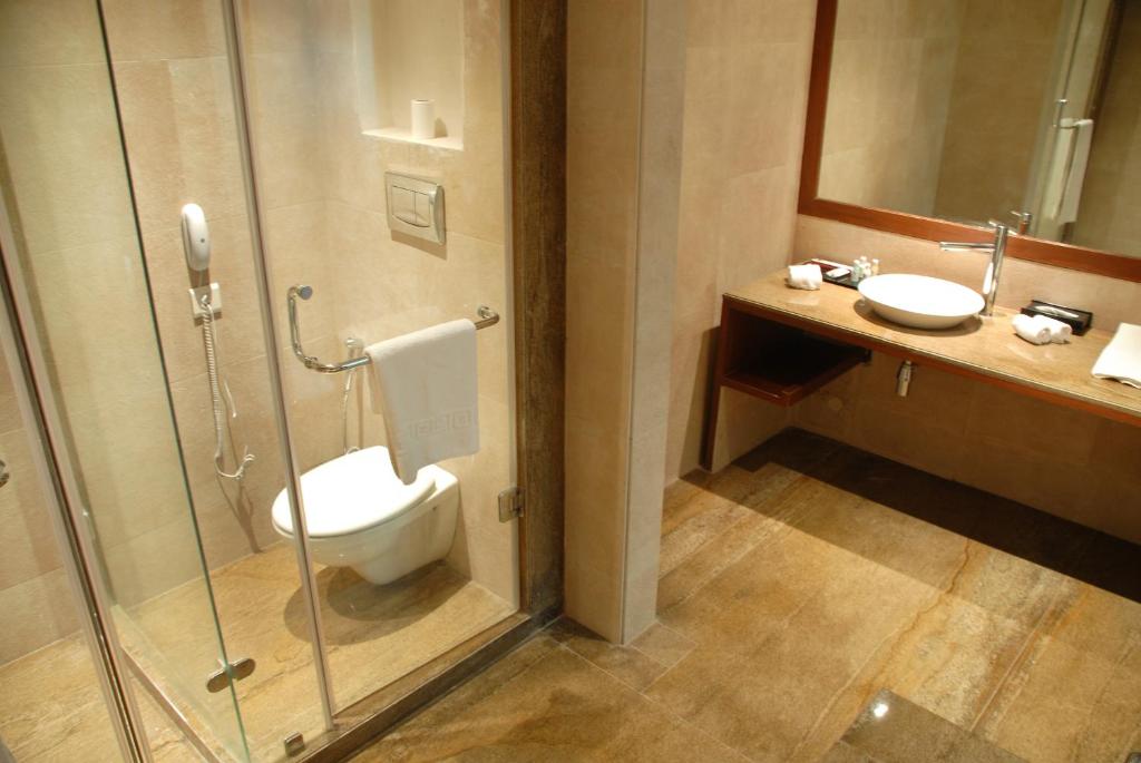 Двухместный (Стандартный двухместный номер с 1 кроватью), Cambay Grand Kukas