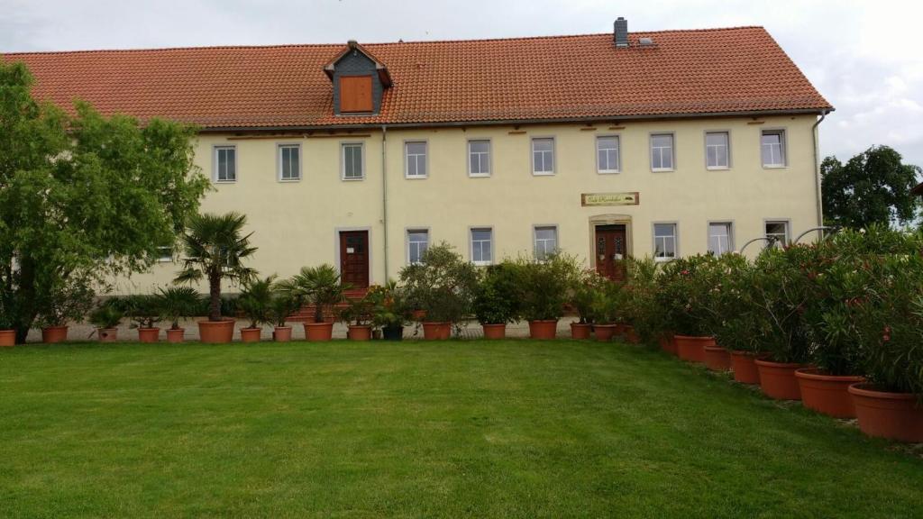 Kornkäfer Kleinmockritz photo 2