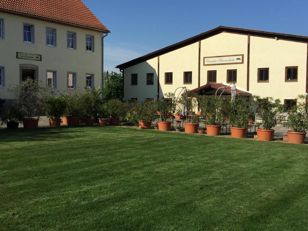 Kornkäfer Kleinmockritz photo 3