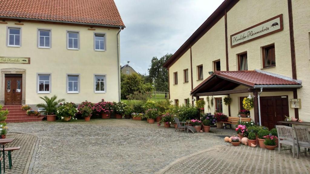 Kornkäfer Kleinmockritz photo 4