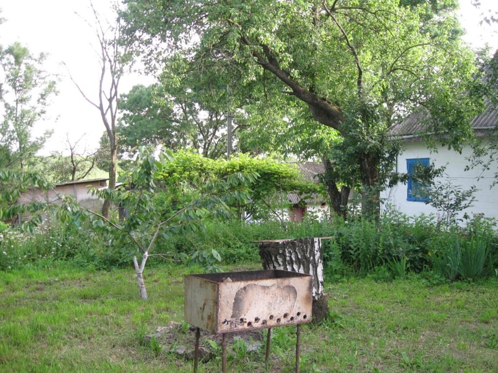 Kалиновий Kущ photo 4