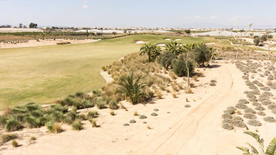 Mar Menor Resort photo 4