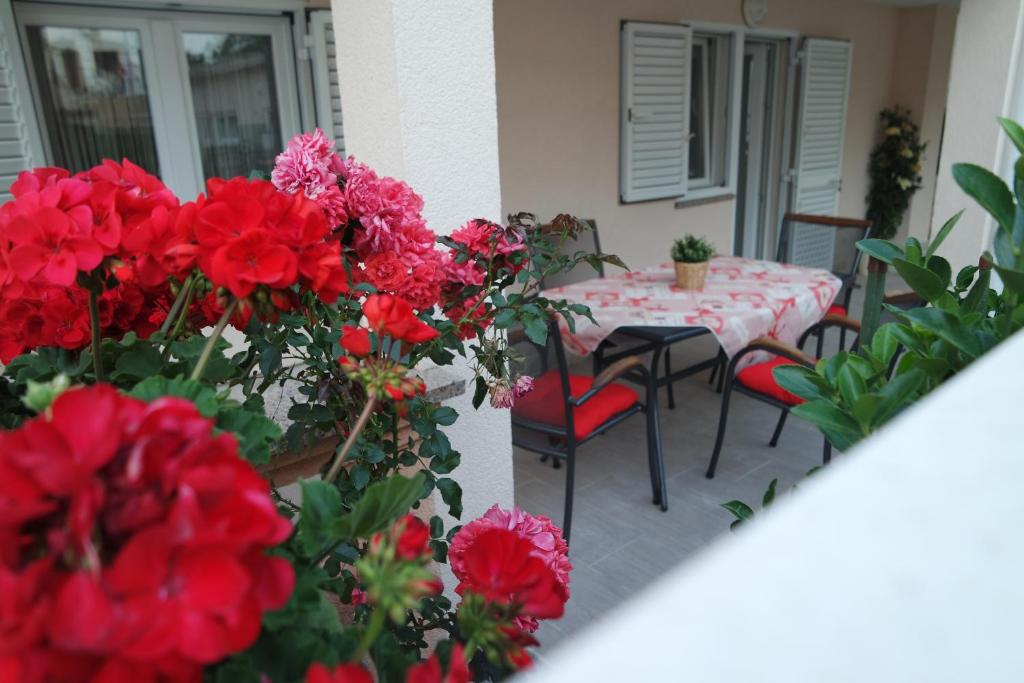Apartments Jadranka photo 3