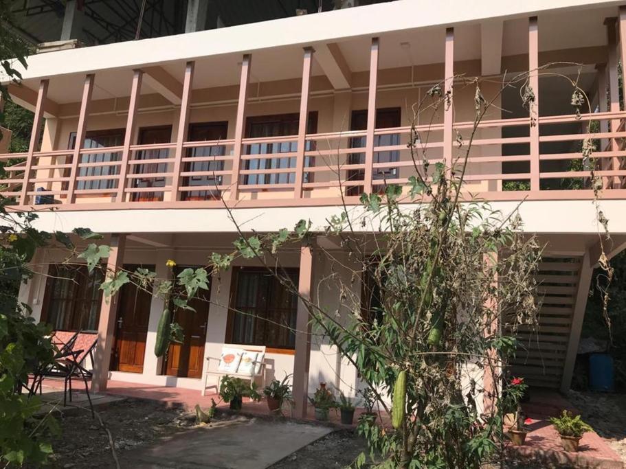 The Bicknell's Nest preview