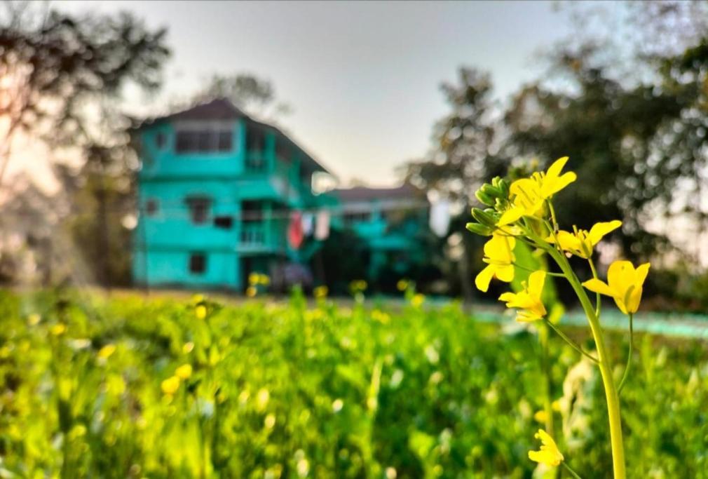 Green Heaven Homestay gallery image 4