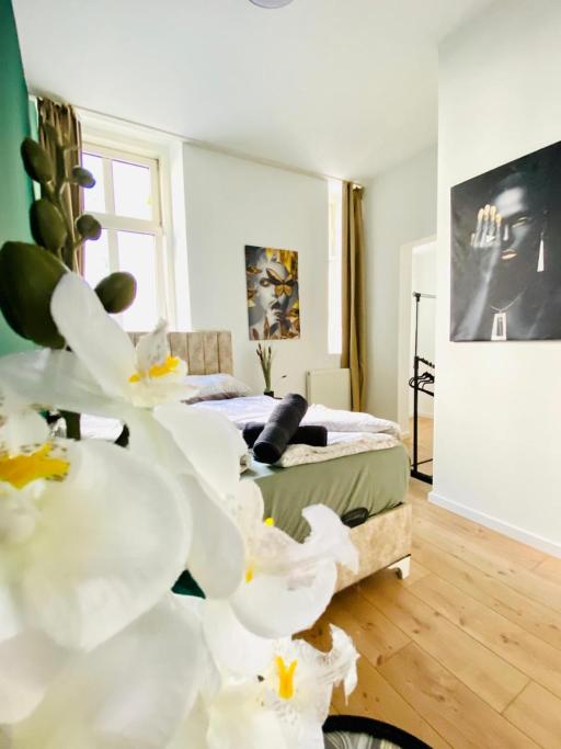 Budget Private Rooms in 8-Bedroom Apartment with Terrace – Deluxe Double Studio