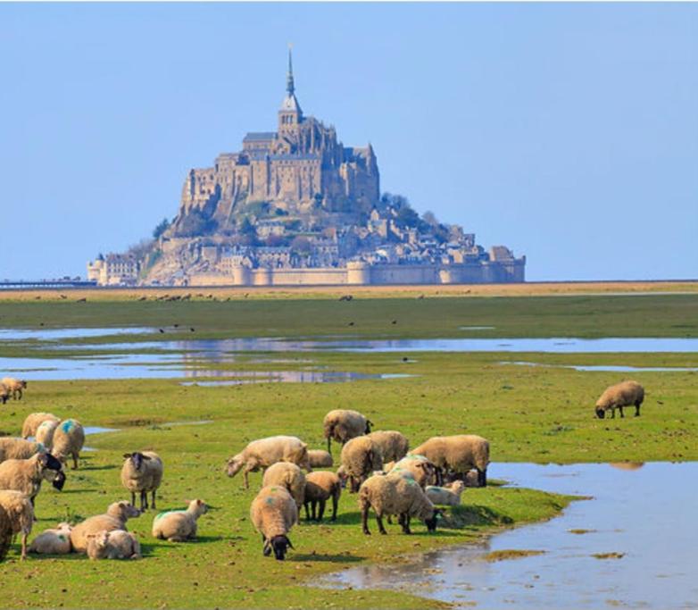 Gîte entre terre et baie,20min du Mont-St-Michel wifi – maison 3 chambres
