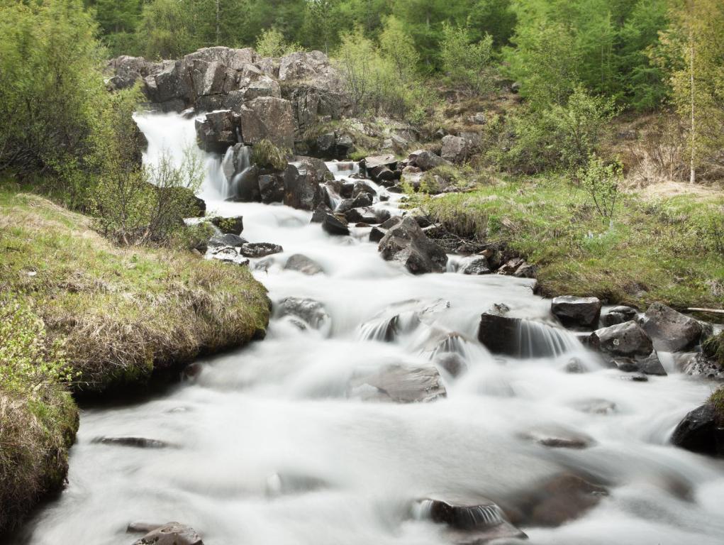 Surrounding environment