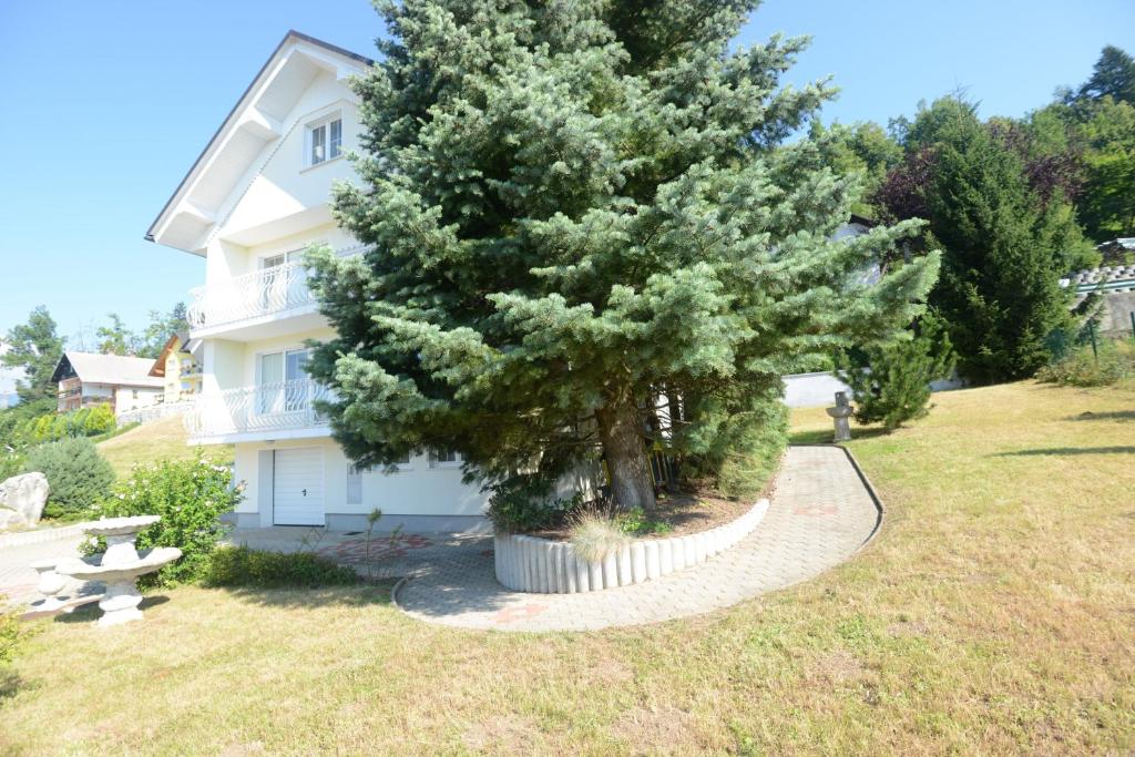 Family Villa Bled photo