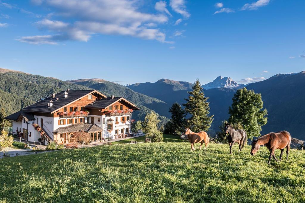 Herol - my mountain retreat — Hotel in Luson