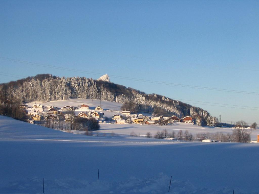 Pension Waldhof - 5