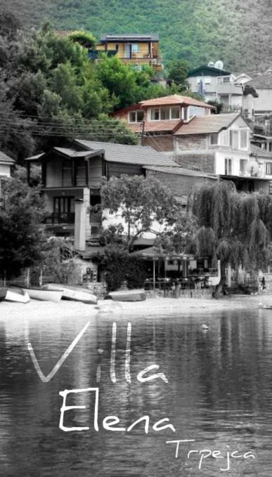 Villa Elena photo