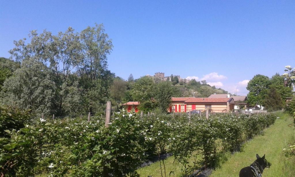 Agriturismo Terra e Lago d'Iseo Franciacorta photo