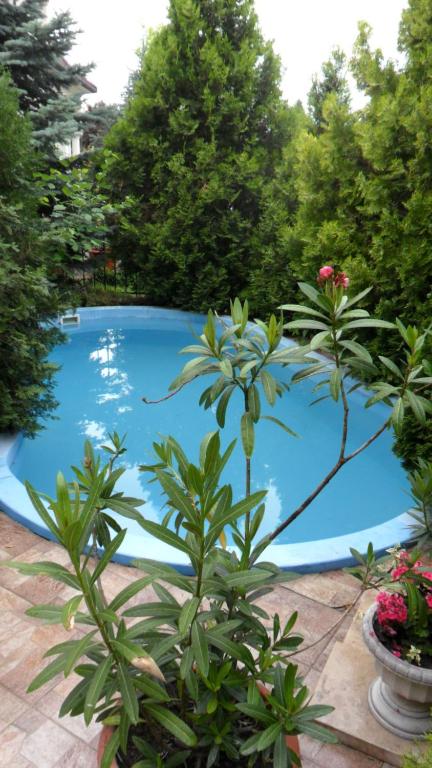 Villa Gardena Gardony photo