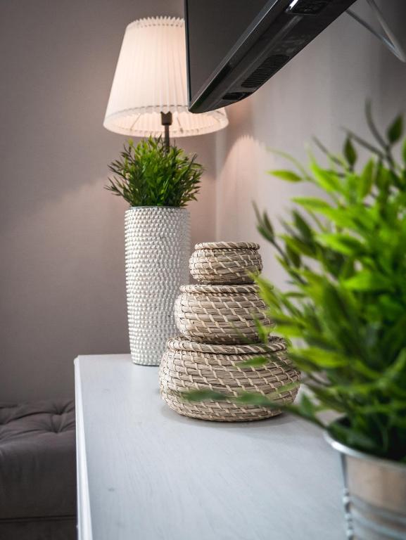 Little Home Apartments photo