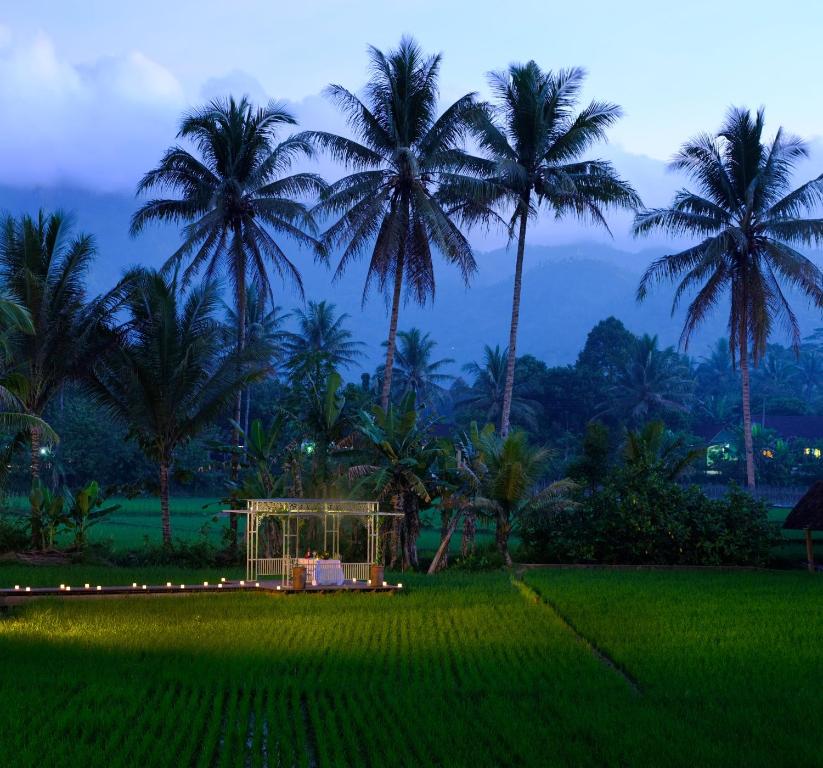 周辺観光スポット